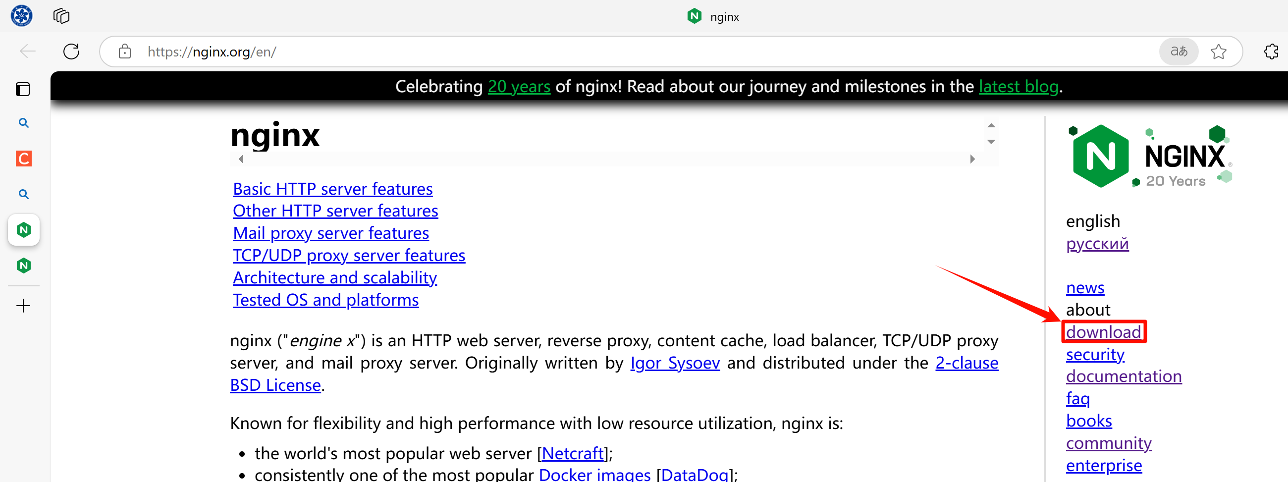 image-20241118191514870