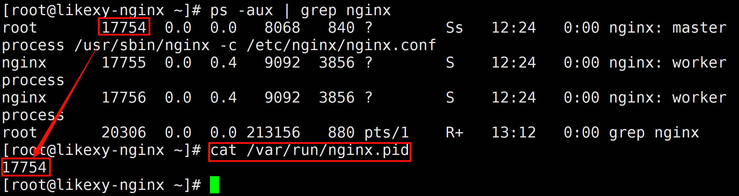 image-20241124131235292