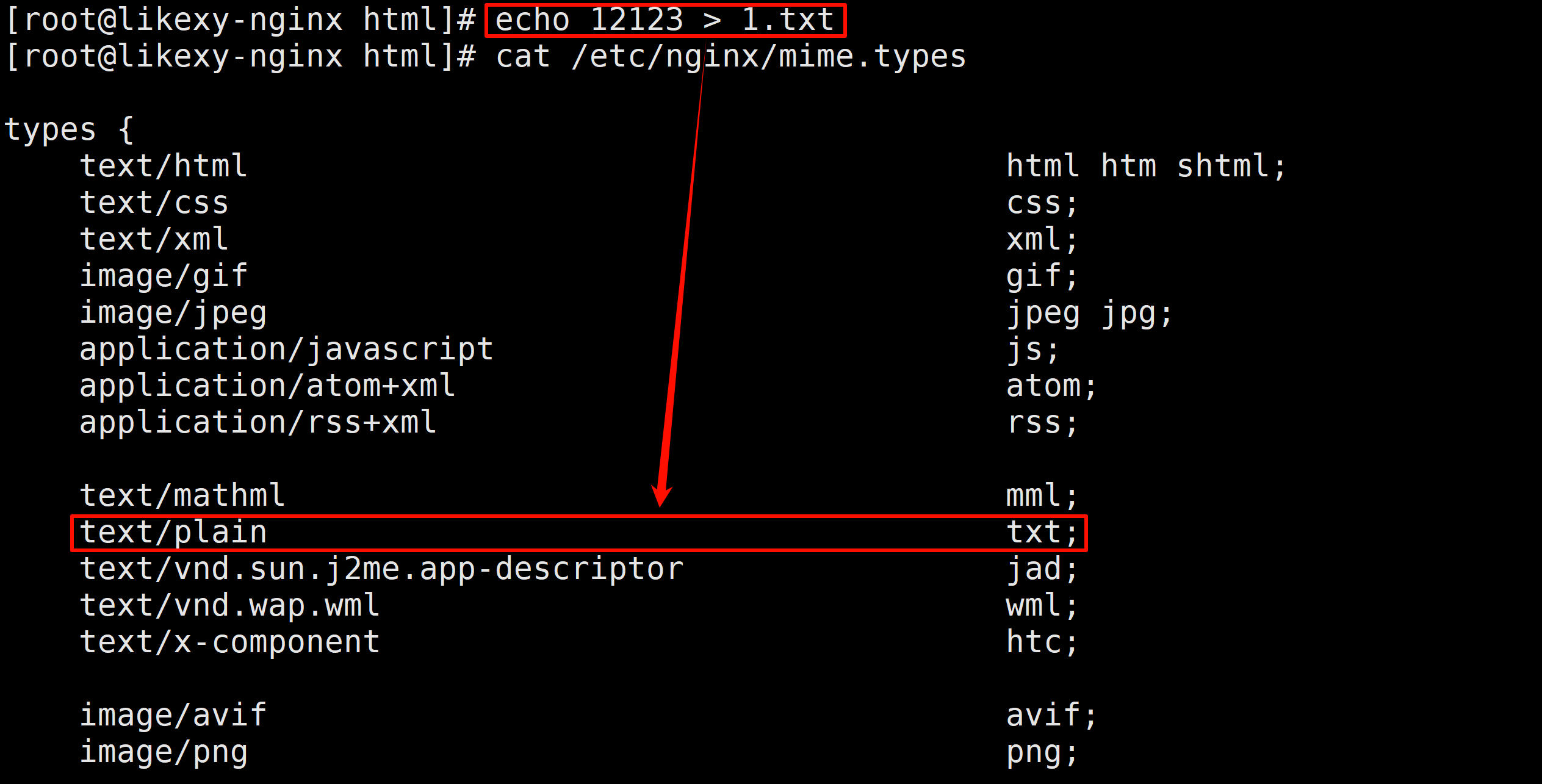 image-20241124132256993
