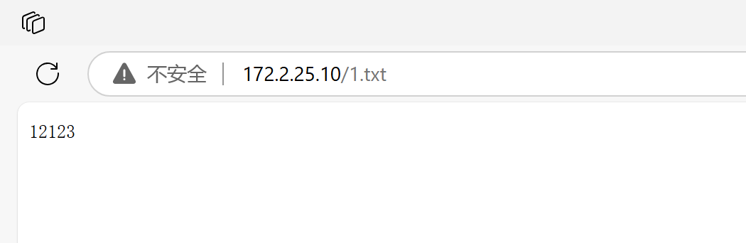 image-20241124132424793