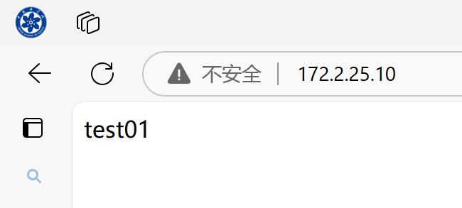 image-20241124173127449