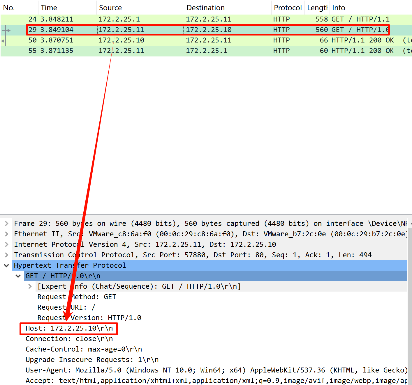 image-20241125122928042