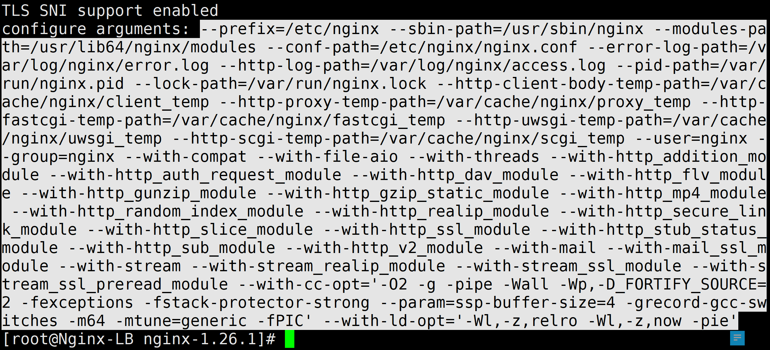 image-20241125195306567