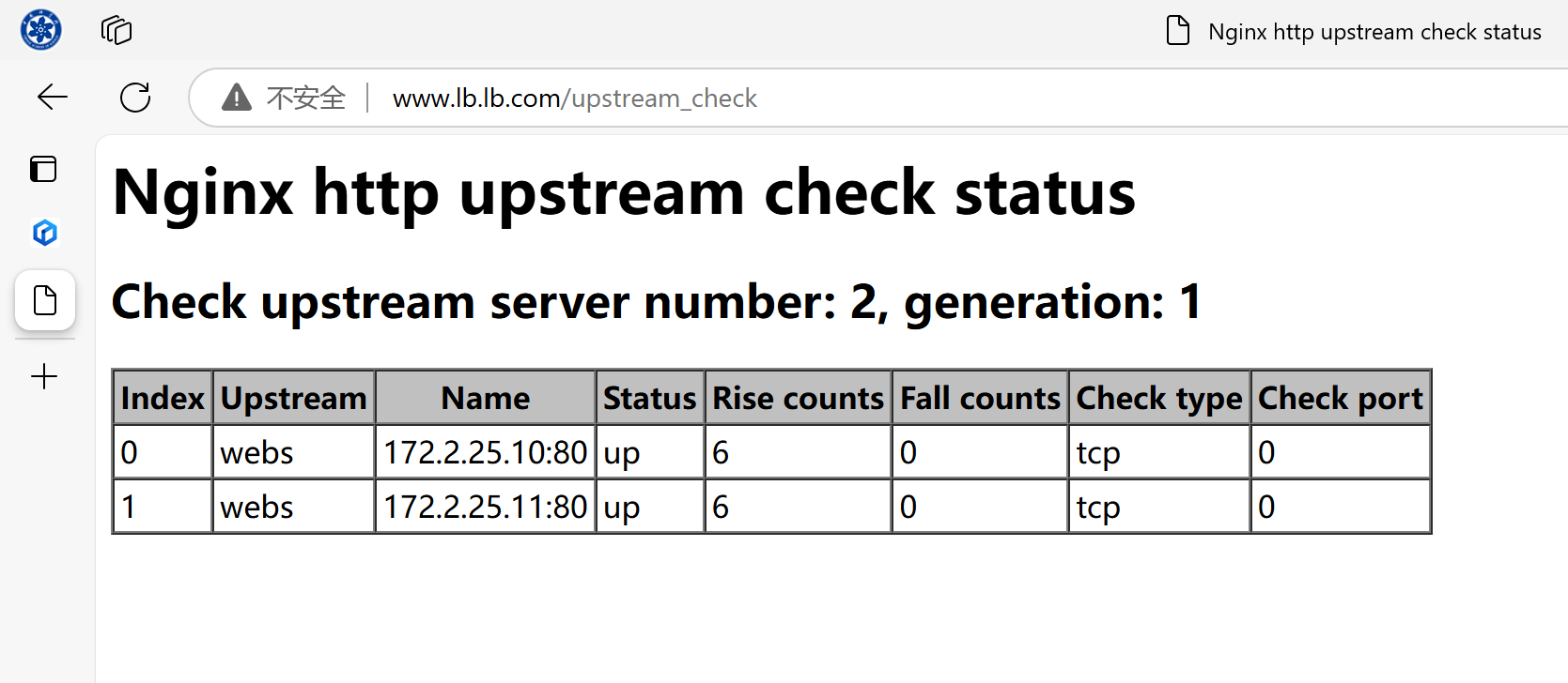 image-20241125200903780