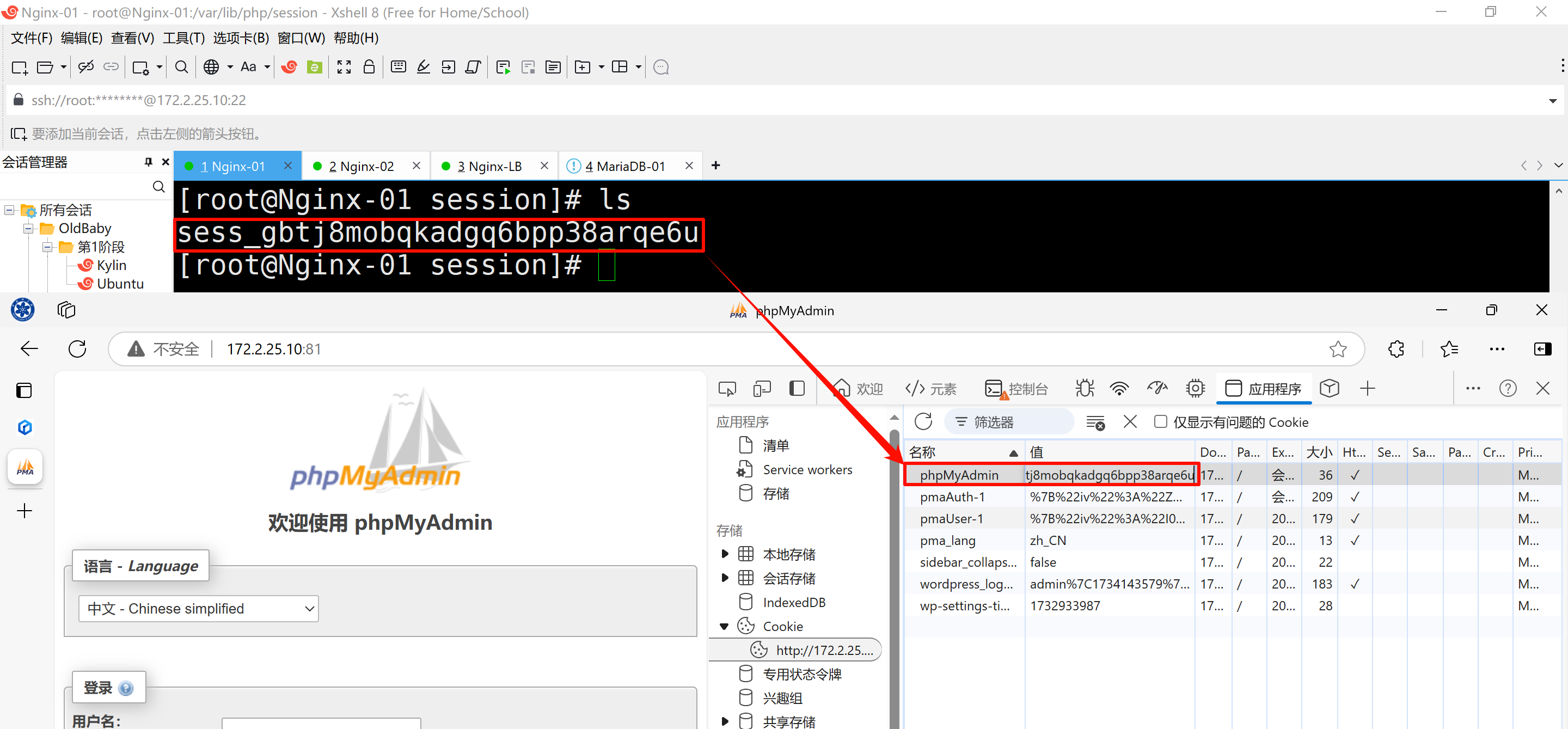 image-20241130124339698