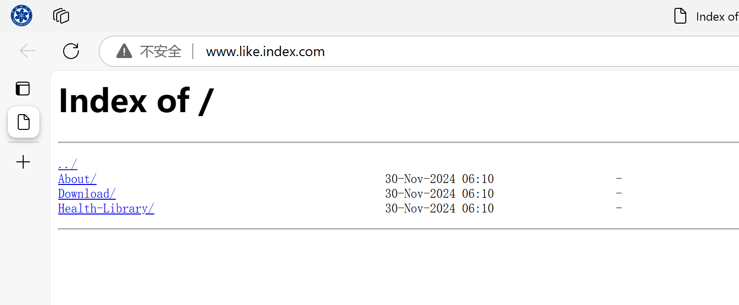 image-20241130141653856