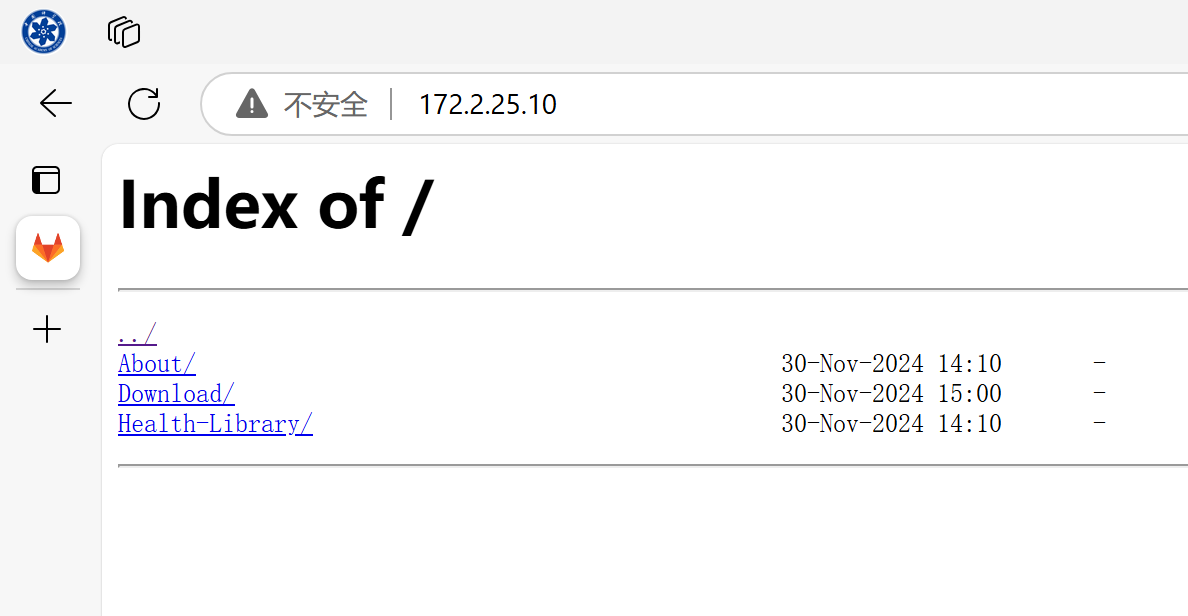 image-20241130182644853