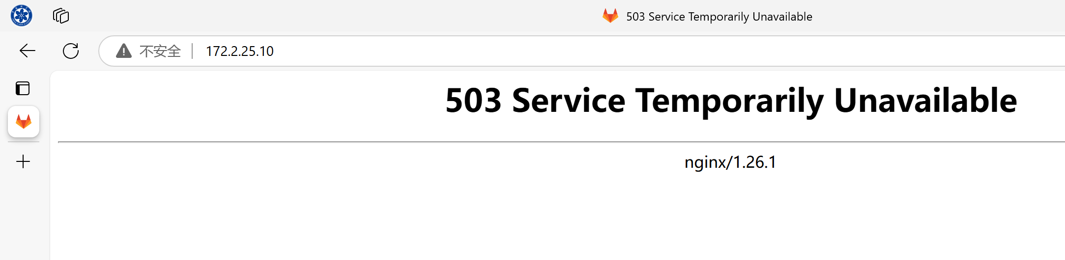 image-20241201093016188