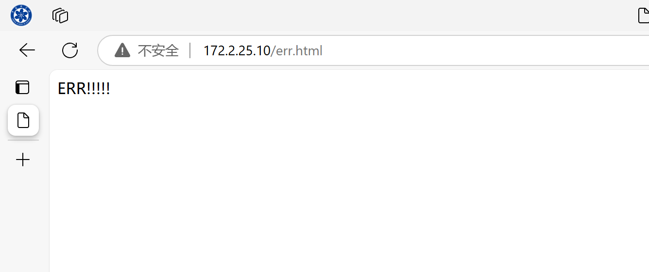 image-20241201093805135